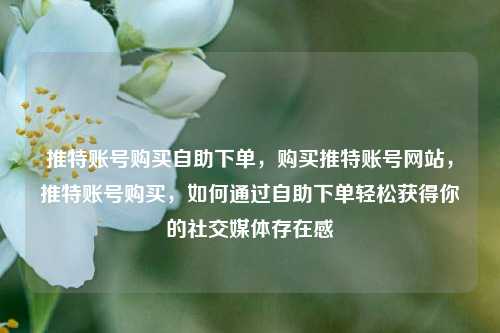 推特账号购买自助下单，购买推特账号网站，推特账号购买，如何通过自助下单轻松获得你的社交媒体存在感