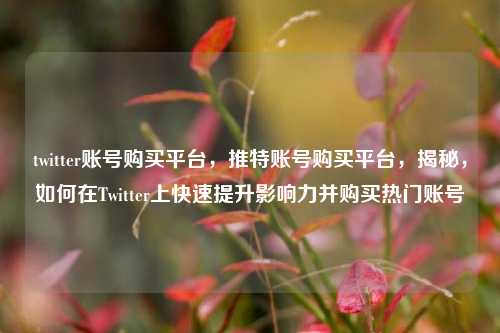 twitter账号购买平台，推特账号购买平台，揭秘，如何在Twitter上快速提升影响力并购买热门账号