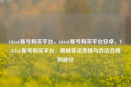 tiktok账号购买平台，tiktok账号购买平台安卓，TikTok账号购买平台，揭秘非法市场与合法合规的途径
