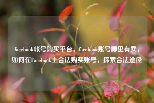 facebook帐号购买平台，facebook账号哪里有卖，如何在Facebook上合法购买账号，探索合法途径