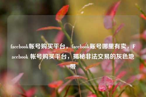facebook帐号购买平台，facebook账号哪里有卖，Facebook 帐号购买平台，揭秘非法交易的灰色地带
