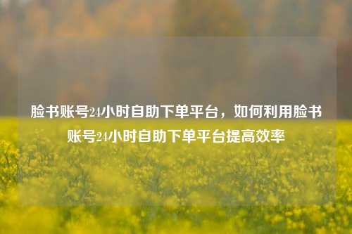 脸书账号24小时自助下单平台，如何利用脸书账号24小时自助下单平台提高效率