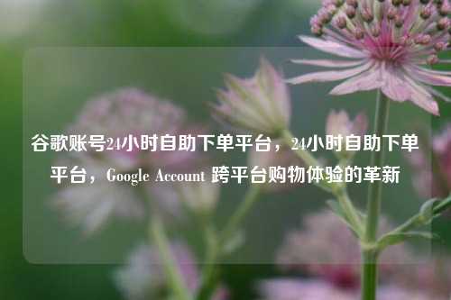 谷歌账号24小时自助下单平台，24小时自助下单平台，Google Account 跨平台购物体验的革新
