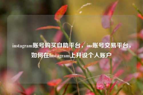 instagram账号购买自助平台，ins账号交易平台，如何在Instagram上开设个人账户