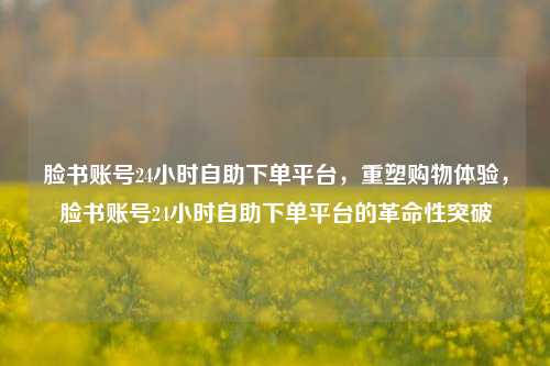 脸书账号24小时自助下单平台，重塑购物体验，脸书账号24小时自助下单平台的革命性突破