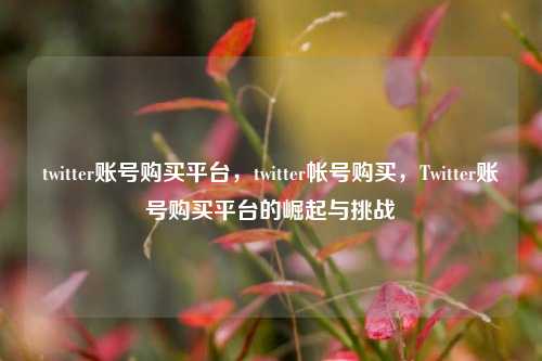 twitter账号购买平台	，twitter帐号购买，Twitter账号购买平台的崛起与挑战  第1张
