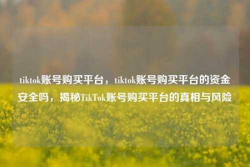 tiktok账号购买平台，tiktok账号购买平台的资金安全吗，揭秘TikTok账号购买平台的真相与风险