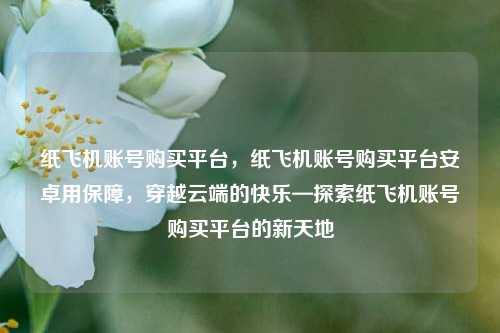 纸飞机账号购买平台，纸飞机账号购买平台安卓用保障，穿越云端的快乐—探索纸飞机账号购买平台的新天地