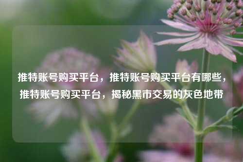 推特账号购买平台，推特账号购买平台有哪些，推特账号购买平台，揭秘黑市交易的灰色地带