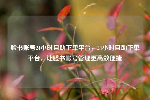 脸书账号24小时自助下单平台，24小时自助下单平台，让脸书账号管理更高效便捷