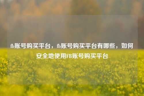 fb账号购买平台，fb账号购买平台有哪些	，如何安全地使用FB账号购买平台  第1张
