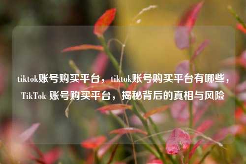 tiktok账号购买平台，tiktok账号购买平台有哪些，TikTok 账号购买平台，揭秘背后的真相与风险