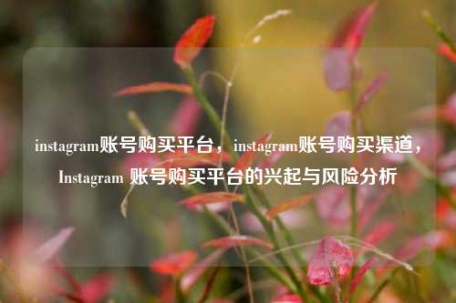 instagram账号购买平台，instagram账号购买渠道，Instagram 账号购买平台的兴起与风险分析