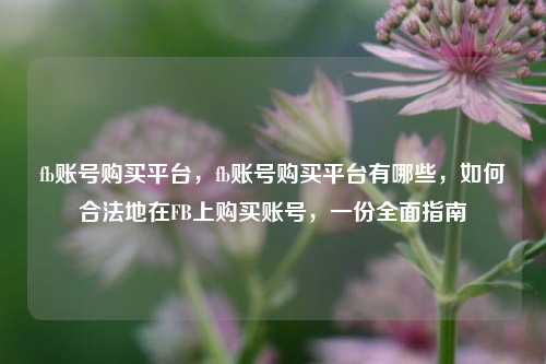 fb账号购买平台，fb账号购买平台有哪些，如何合法地在FB上购买账号，一份全面指南