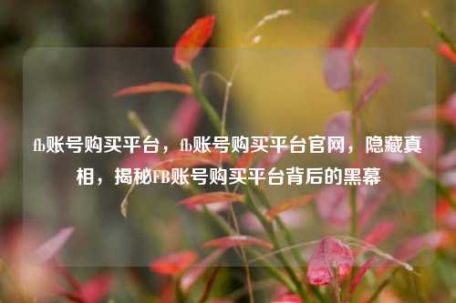 fb账号购买平台，fb账号购买平台官网，隐藏真相，揭秘FB账号购买平台背后的黑幕