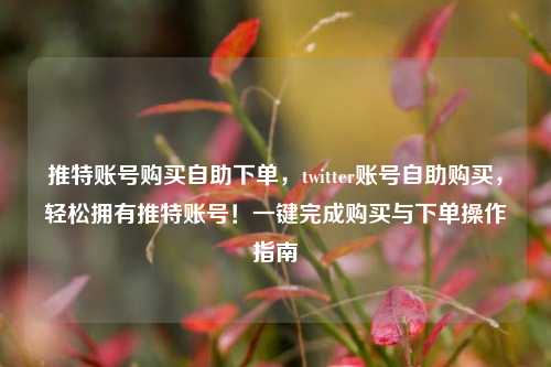 推特账号购买自助下单，twitter账号自助购买，轻松拥有推特账号！一键完成购买与下单操作指南