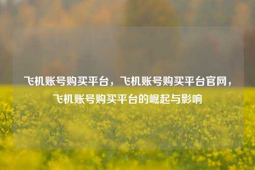飞机账号购买平台，飞机账号购买平台官网，飞机账号购买平台的崛起与影响