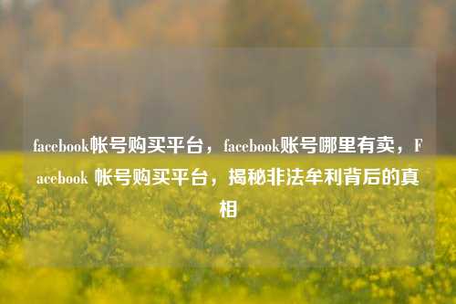 facebook帐号购买平台	，facebook账号哪里有卖，Facebook 帐号购买平台，揭秘非法牟利背后的真相  第1张