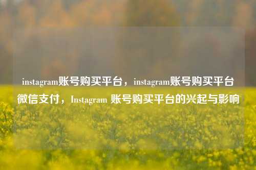instagram账号购买平台，instagram账号购买平台微信支付，Instagram 账号购买平台的兴起与影响