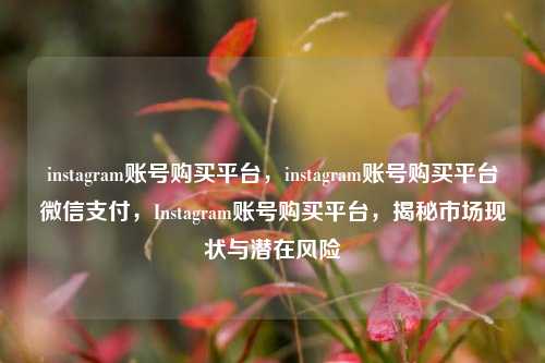 instagram账号购买平台，instagram账号购买平台微信支付，Instagram账号购买平台，揭秘市场现状与潜在风险