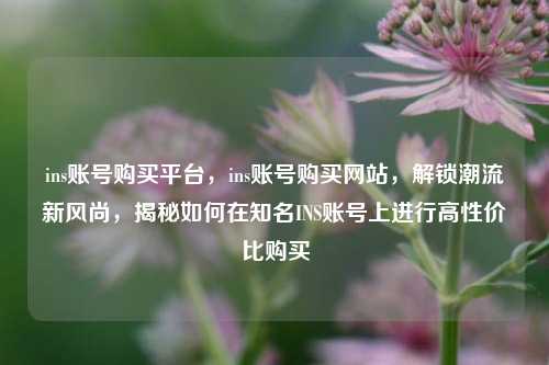 ins账号购买平台，ins账号购买网站，解锁潮流新风尚	，揭秘如何在知名INS账号上进行高性价比购买  第1张