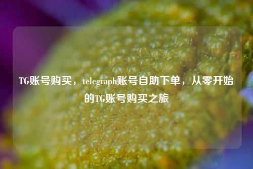 TG账号购买，telegraph账号自助下单，从零开始的TG账号购买之旅