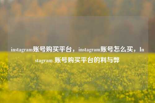 instagram账号购买平台，instagram账号怎么买，Instagram 账号购买平台的利与弊