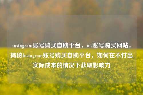 instagram账号购买自助平台，ins账号购买网站，揭秘Instagram账号购买自助平台，如何在不付出实际成本的情况下获取影响力