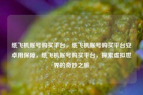 纸飞机账号购买平台，纸飞机账号购买平台安卓用保障，纸飞机账号购买平台，探索虚拟世界的奇妙之旅