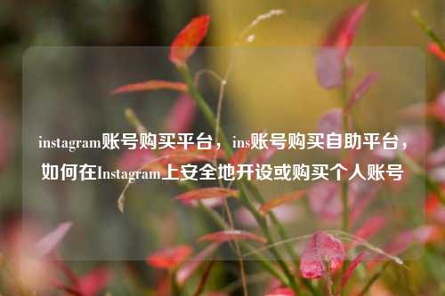 instagram账号购买平台，ins账号购买自助平台，如何在Instagram上安全地开设或购买个人账号