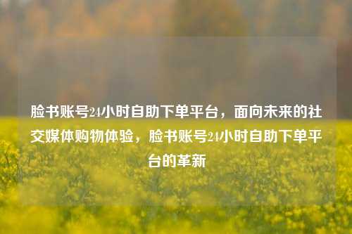脸书账号24小时自助下单平台，面向未来的社交媒体购物体验，脸书账号24小时自助下单平台的革新