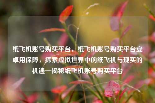 纸飞机账号购买平台，纸飞机账号购买平台安卓用保障，探索虚拟世界中的纸飞机与现实的机遇—揭秘纸飞机账号购买平台