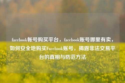 facebook帐号购买平台	，facebook账号哪里有卖，如何安全地购买Facebook账号，揭露非法交易平台的真相与防范方法  第1张