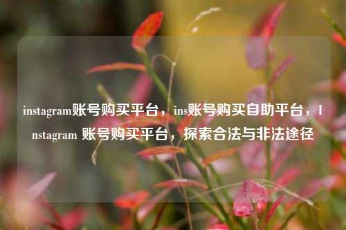 instagram账号购买平台，ins账号购买自助平台，Instagram 账号购买平台，探索合法与非法途径