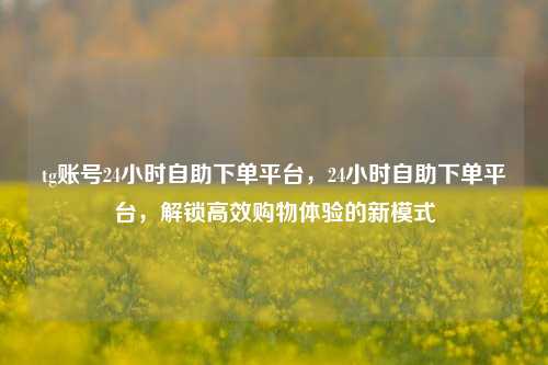 tg账号24小时自助下单平台，24小时自助下单平台，解锁高效购物体验的新模式