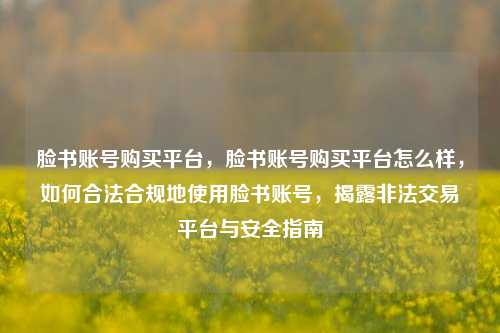 脸书账号购买平台，脸书账号购买平台怎么样，如何合法合规地使用脸书账号，揭露非法交易平台与安全指南