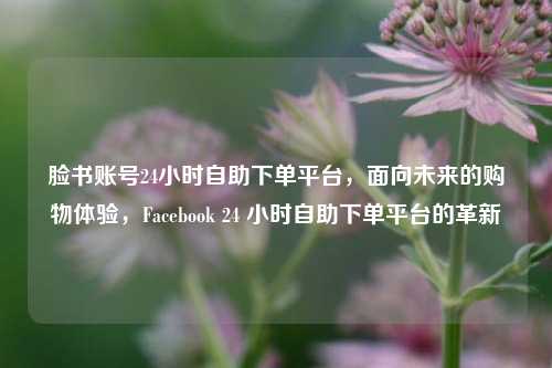脸书账号24小时自助下单平台，面向未来的购物体验，Facebook 24 小时自助下单平台的革新