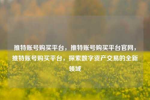 推特账号购买平台，推特账号购买平台官网，推特账号购买平台，探索数字资产交易的全新领域