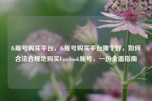 fb账号购买平台，fb账号购买平台哪个好，如何合法合规地购买Facebook账号，一份全面指南