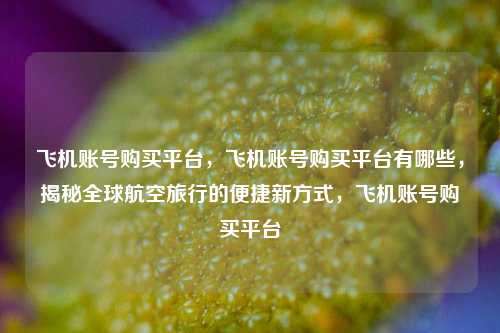 飞机账号购买平台，飞机账号购买平台有哪些，揭秘全球航空旅行的便捷新方式，飞机账号购买平台