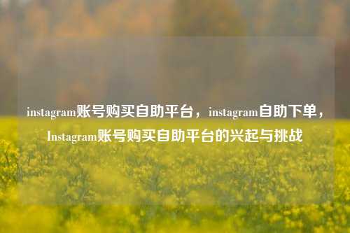 instagram账号购买自助平台，instagram自助下单，Instagram账号购买自助平台的兴起与挑战