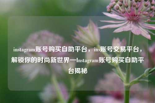 instagram账号购买自助平台，ins账号交易平台，解锁你的时尚新世界—Instagram账号购买自助平台揭秘