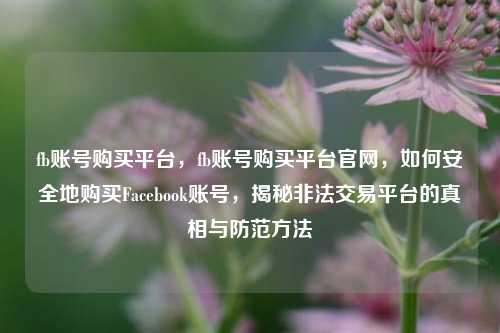 fb账号购买平台，fb账号购买平台官网，如何安全地购买Facebook账号，揭秘非法交易平台的真相与防范方法