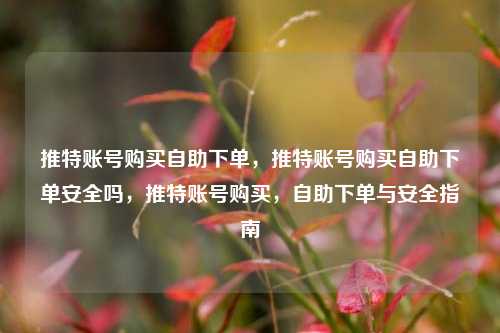 推特账号购买自助下单，推特账号购买自助下单安全吗，推特账号购买，自助下单与安全指南