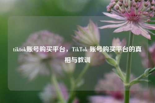 tiktok账号购买平台，TikTok 账号购买平台的真相与教训