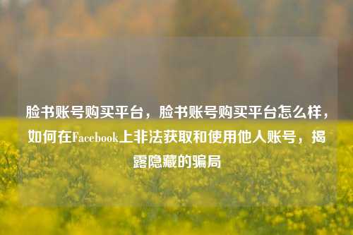 脸书账号购买平台，脸书账号购买平台怎么样，如何在Facebook上非法获取和使用他人账号，揭露隐藏的骗局