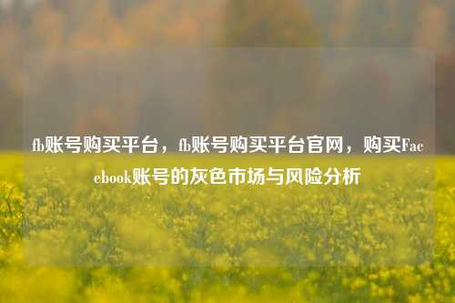 fb账号购买平台，fb账号购买平台官网，购买Facebook账号的灰色市场与风险分析