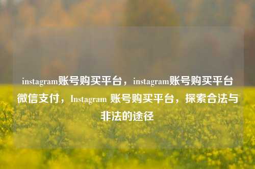 instagram账号购买平台，instagram账号购买平台微信支付，Instagram 账号购买平台	，探索合法与非法的途径  第1张