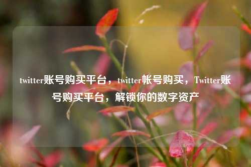 twitter账号购买平台，twitter帐号购买，Twitter账号购买平台，解锁你的数字资产