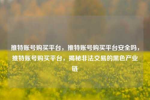 推特账号购买平台，推特账号购买平台安全吗，推特账号购买平台，揭秘非法交易的黑色产业链